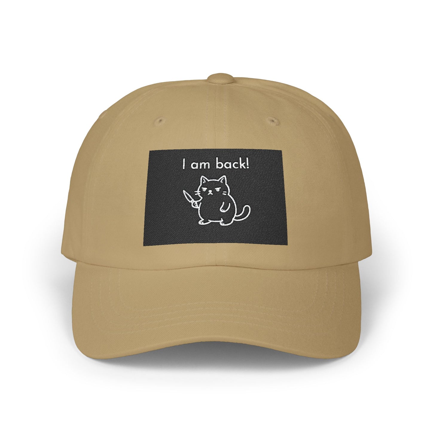 Funny Cat Dad Cap, Adjustable Baseball Hat, Gift for Cat Lovers, Pet Owner Accessories, Casual Everyday Wear