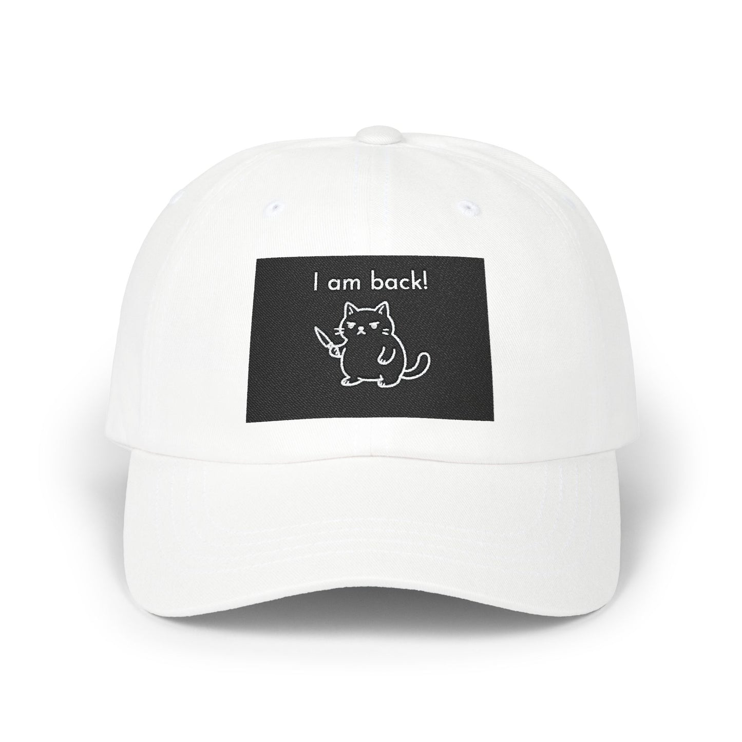 Funny Cat Dad Cap, Adjustable Baseball Hat, Gift for Cat Lovers, Pet Owner Accessories, Casual Everyday Wear