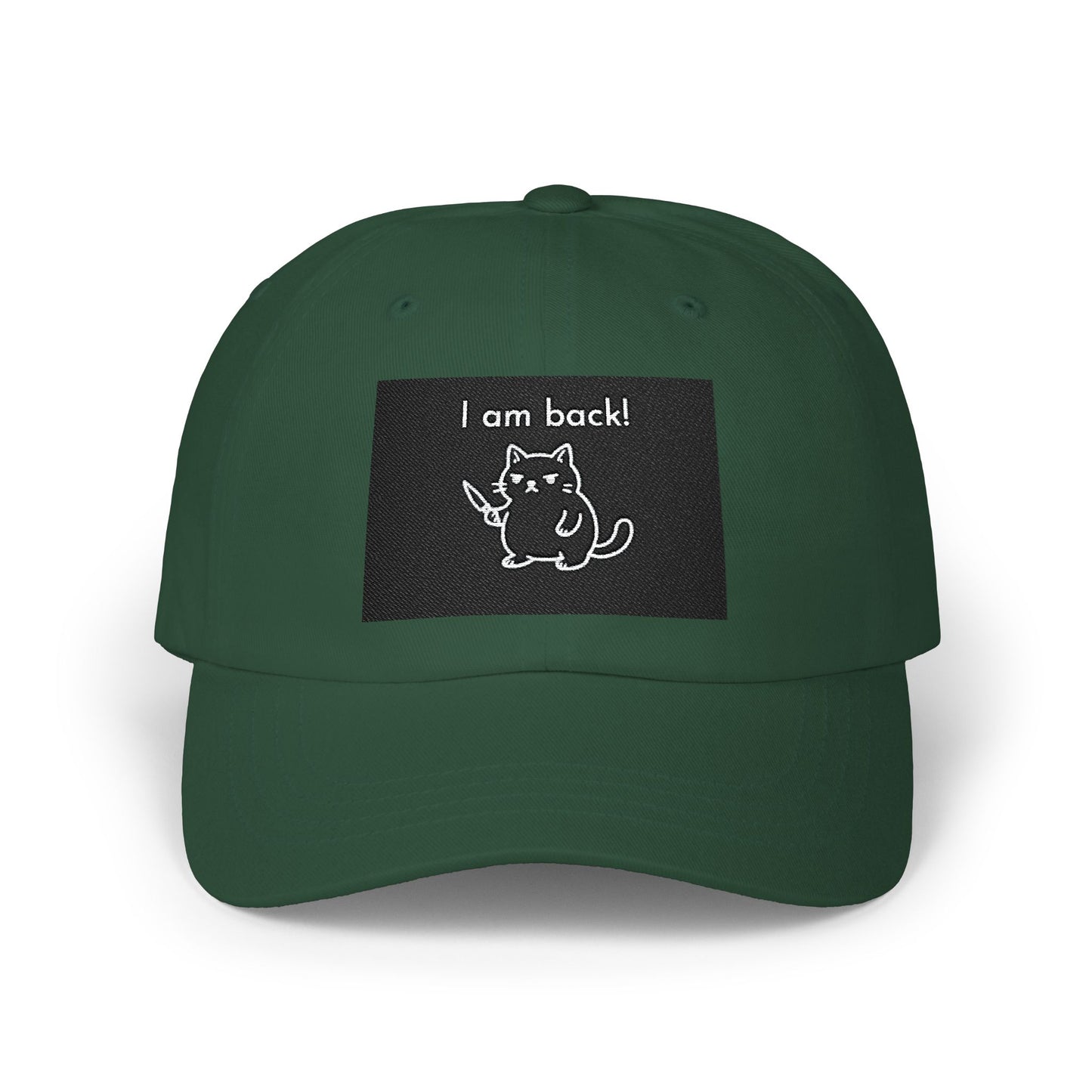 Funny Cat Dad Cap, Adjustable Baseball Hat, Gift for Cat Lovers, Pet Owner Accessories, Casual Everyday Wear