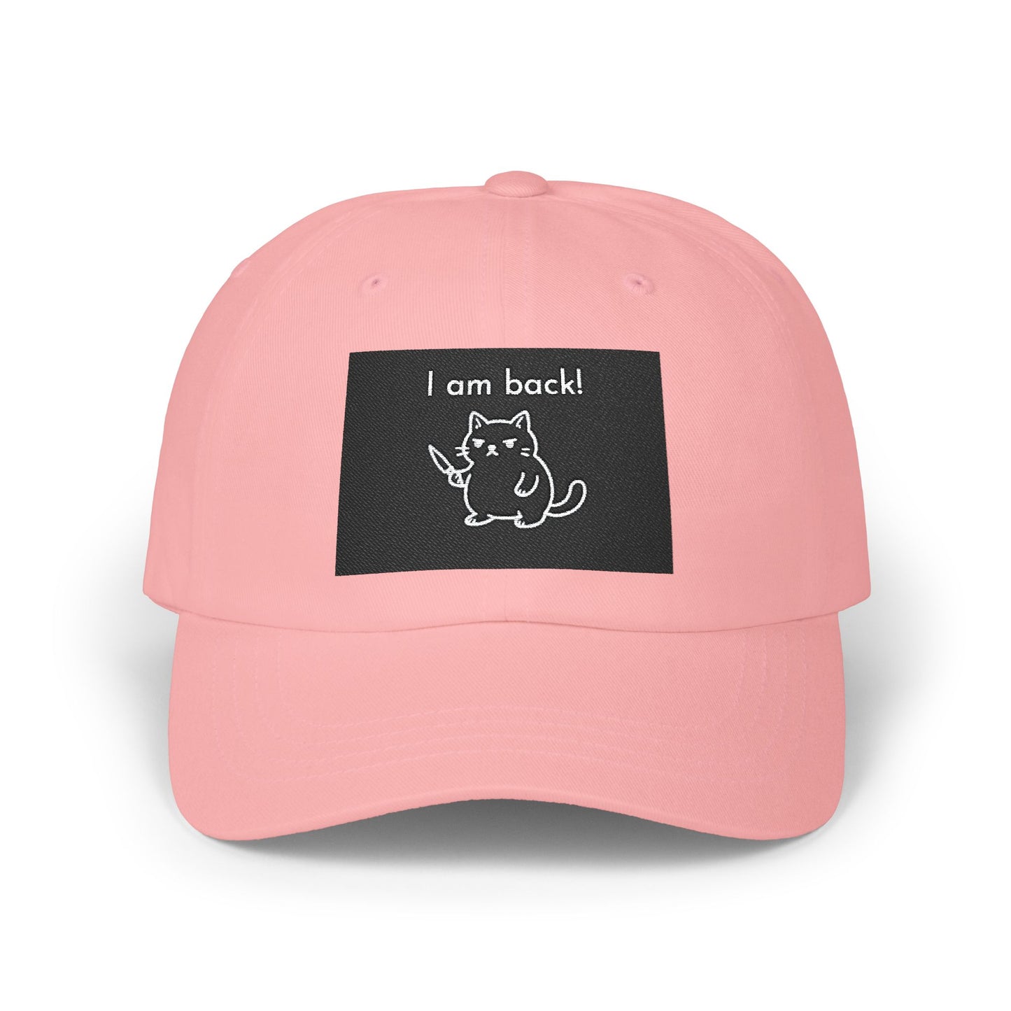 Funny Cat Dad Cap, Adjustable Baseball Hat, Gift for Cat Lovers, Pet Owner Accessories, Casual Everyday Wear